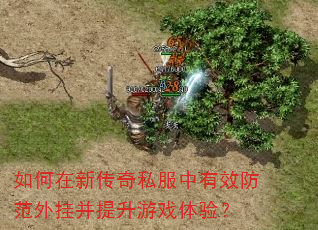 如何在新传奇私服中有效防范外挂并提升游戏体验? 如何在新传奇私服中有效防范外挂并提升游戏体验?