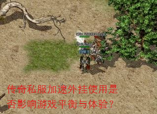 传奇私服加速外挂使用是否影响游戏平衡与体验? 传奇私服加速外挂使用是否影响游戏平衡与体验?