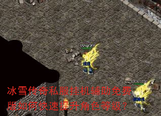 冰雪传奇私服挂机辅助免费版如何快速提升角色等级? 冰雪传奇私服挂机辅助免费版如何快速提升角色等级?