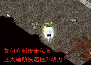 如何在新传奇私服中利用逆天辅助快速提升战力? 如何在新传奇私服中利用逆天辅助快速提升战力?