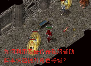 如何利用双倍传奇私服辅助脚本快速提升角色等级? 如何利用双倍传奇私服辅助脚本快速提升角色等级?