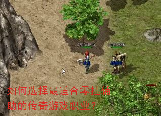 如何选择最适合零挂辅助的传奇游戏职业? 如何选择最适合零挂辅助的传奇游戏职业?