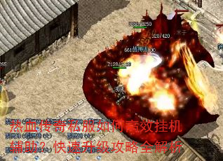 热血传奇私服如何高效挂机辅助?快速升级攻略全解析 热血传奇私服如何高效挂机辅助?快速升级攻略全解析