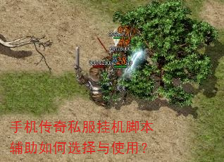 手机传奇私服挂机脚本辅助如何选择与使用? 手机传奇私服挂机脚本辅助如何选择与使用?