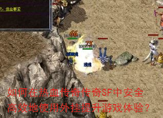 �������Ѫ���洫��SF�а�ȫ��Ч��ʹ�����������Ϸ���飿