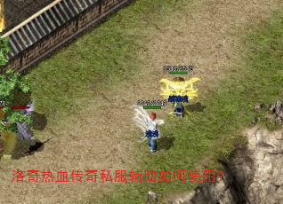 ������Ѫ����˽���������ʹ�ã�