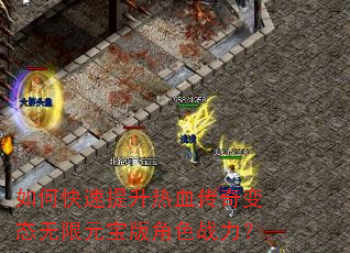 ��ο���������Ѫ�����̬����Ԫ�����ɫս����