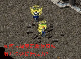 ���ѡ���̬�洫��˽������������ս����