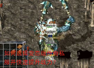 ���ѡ���̬�洫��˽������������ս����