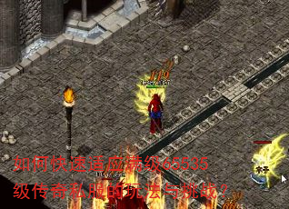 ��ο�����Ӧ����65535������˽�����淨����ս��