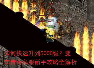 ��ο�������5000������̬����˽�����ֹ���ȫ����