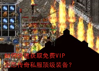 ��ο��ٻ�ȡ���VIP��̬����˽������װ����