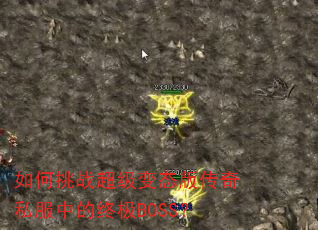 �����ս������̬�洫��˽���е��ռ�BOSS��