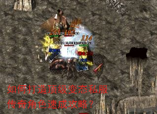 ��δ��춥����̬˽�������ɫ�ٳɹ��ԣ�