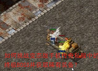 �����ս��̬���ֻ�����˽���е��ռ�BOSS����ȡϡ��װ����