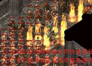 ������ְҵ����˽����ο�������ս������̬�汾װ����ȡ��������Щ��