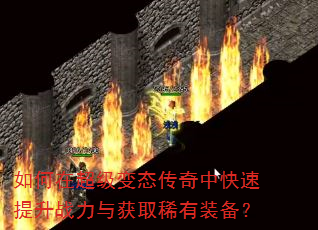 ����ڳ�����̬�����п�������ս�����ȡϡ��װ����