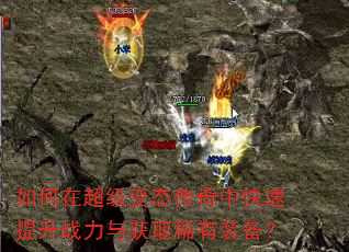 ����ڳ�����̬�����п�������ս�����ȡϡ��װ����