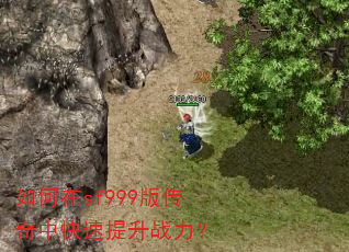 �����sf999�洫���п�������ս����