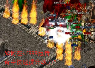 �����sf999�洫���п�������ս����