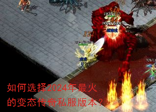 ���ѡ��2024�����ı�̬����˽���汾��