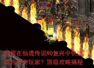 ������ɾ���˵RO�����п��ٳ�Ϊ������ң��������Խ���
