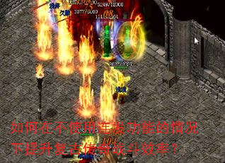 ����ڲ�ʹ���������ܵ�������������Ŵ���ս��Ч�ʣ�