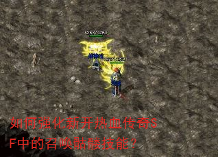 ���ǿ���¿���Ѫ����SF�е��ٻ����ü��ܣ�