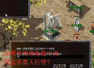 ����ڴ���˽���и�Ч��ɱ���˾޹֣�