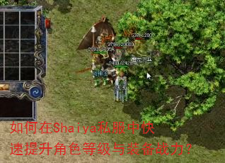 �����Shaiya˽���п���������ɫ�ȼ���װ��ս����