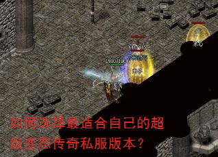 ���ѡ�����ʺ��Լ��ĳ�����̬����˽���汾��
